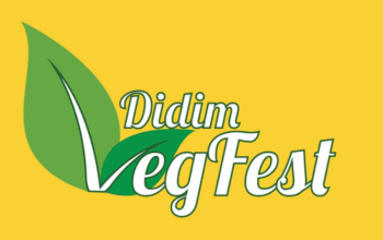 5. Vegfest