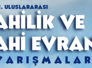 2. Uluslararası Ahi Evran Yarışması