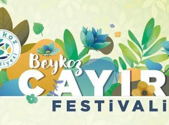 Beykoz Çayır Festivali