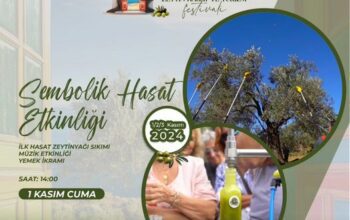 19. Ayvalık Zeytin Hasat Festivali